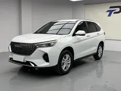 2023 Haval M6 Plus 1.5T DCT Elite, белый — фото 1