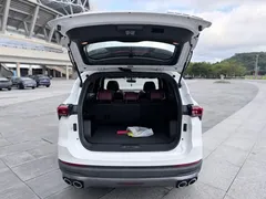 2021 Jetour X70 PLUS 1.5T DCT Shan PRO 5, белый — фото 11