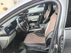 2024 BYD Qin PLUS Honor DM-i PHEV 55km Leading — фото 15
