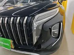 2024 Hongqi HS7 2.0T PHEV 4WD 6, чёрный — фото 24