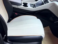 2023 BYD Song PLUS Champion DM-i PHEV 110KM Flagship Plus — фото 11