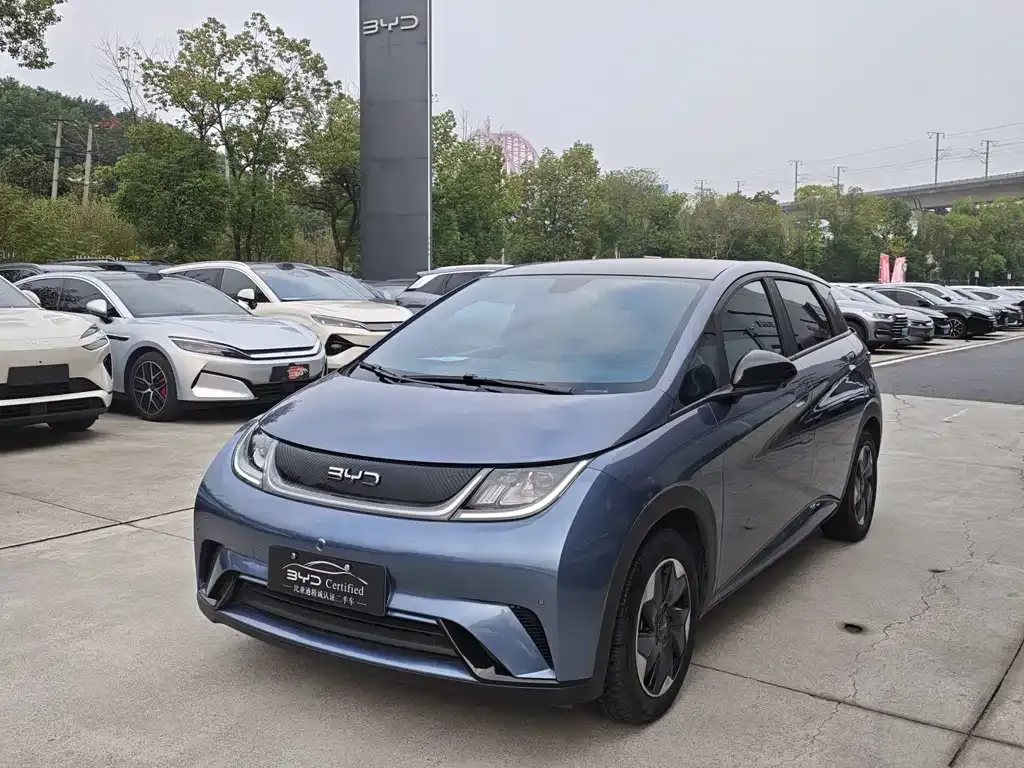2024 BYD Dolphin Honor 420km Fashion
