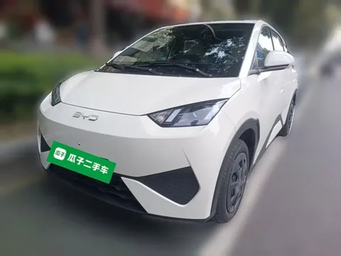 2026 BYD Seagull 305km Vitality