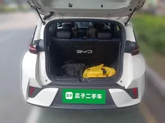 2026 BYD Seagull 305km Vitality, белый — фото 15
