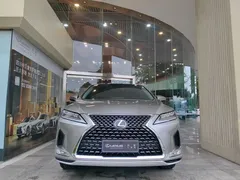 2020 Lexus RX 300 4WD Elegant — фото 1