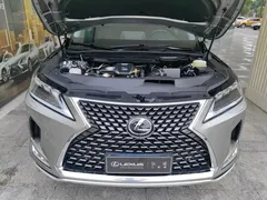 2020 Lexus RX 300 4WD Elegant — фото 6
