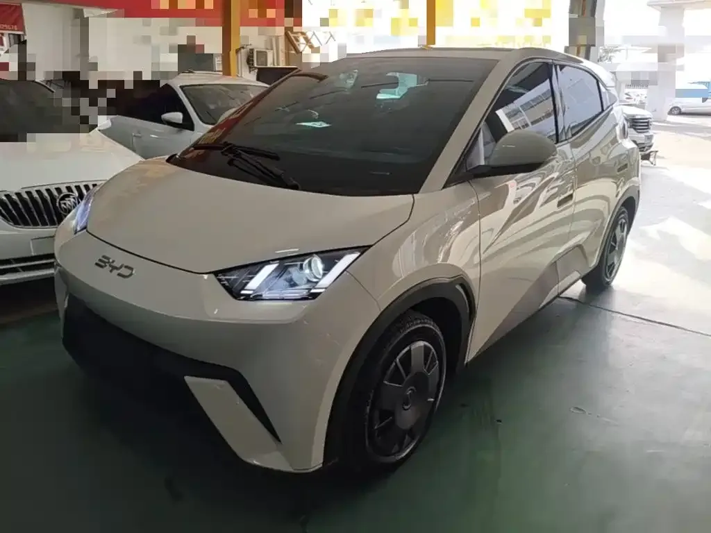 2024 BYD Seagull Honor 305km Vitality