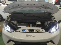 2024 BYD Seagull Honor 305km Vitality, белый — фото 20