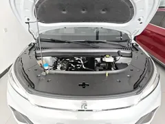 2023 BYD Yuan PLUS EV Champion 430km, белый — фото 20