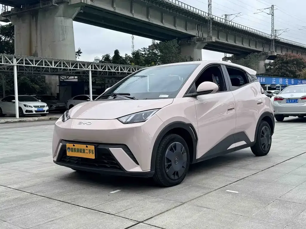 2024 BYD Seagull Honor 305km Vitality