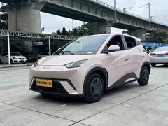 2024 BYD Seagull Honor 305km Vitality — фото 1
