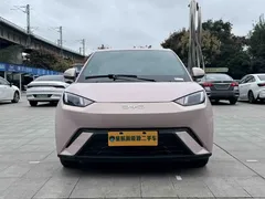 2024 BYD Seagull Honor 305km Vitality — фото 2