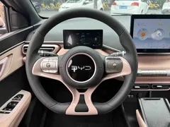 2024 BYD Seagull Honor 305km Vitality — фото 11