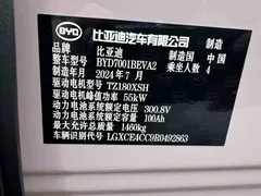 2024 BYD Seagull Honor 305km Vitality — фото 13