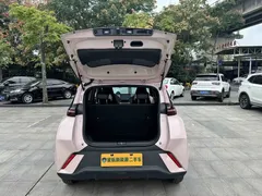 2024 BYD Seagull Honor 305km Vitality — фото 14