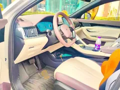 2025 BYD Song PLUS EV 520km Smart Driving Luxury — фото 12