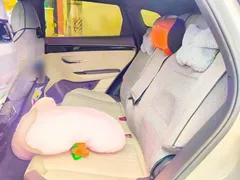 2025 BYD Song PLUS EV 520km Smart Driving Luxury — фото 13