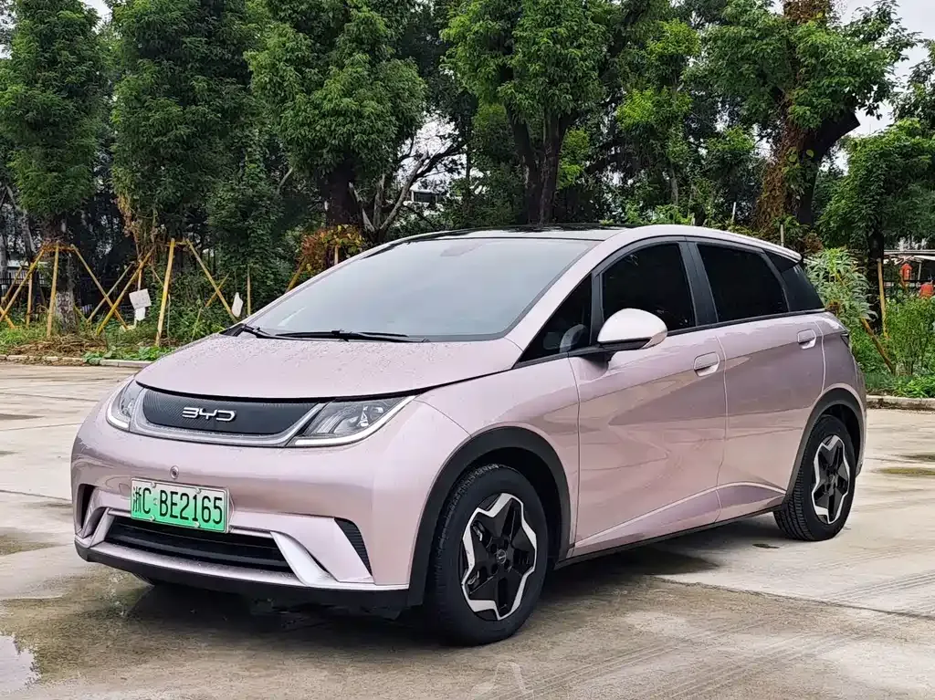 2021 BYD Dolphin EV 405km Freedom