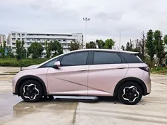2021 BYD Dolphin EV 405km Freedom — фото 2