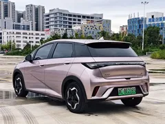2021 BYD Dolphin EV 405km Freedom — фото 3