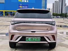 2021 BYD Dolphin EV 405km Freedom — фото 4