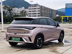 2021 BYD Dolphin EV 405km Freedom — фото 5