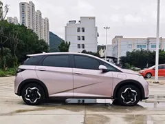 2021 BYD Dolphin EV 405km Freedom — фото 6