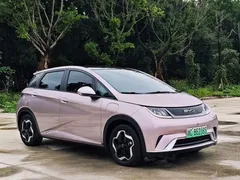 2021 BYD Dolphin EV 405km Freedom — фото 7