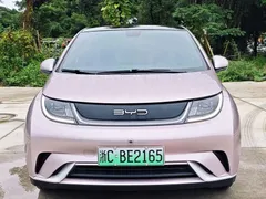 2021 BYD Dolphin EV 405km Freedom — фото 8