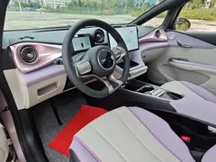 2021 BYD Dolphin EV 405km Freedom — фото 9