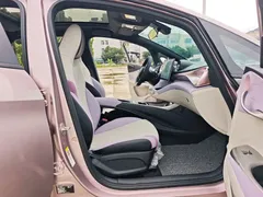 2021 BYD Dolphin EV 405km Freedom — фото 16