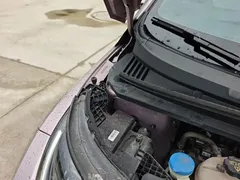 2021 BYD Dolphin EV 405km Freedom — фото 20