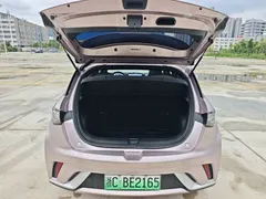2021 BYD Dolphin EV 405km Freedom — фото 22