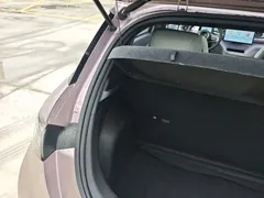 2021 BYD Dolphin EV 405km Freedom — фото 23