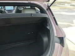2021 BYD Dolphin EV 405km Freedom — фото 24