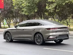 2023 BYD Han PHEV Champion 121KM Premium — фото 11