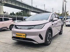 2025 BYD Dolphin Smart Driving 420km Freedom EV — фото 1