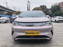 2025 BYD Dolphin Smart Driving 420km Freedom EV — фото 2