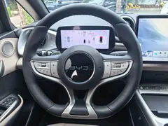 2025 BYD Dolphin Smart Driving 420km Freedom EV — фото 7