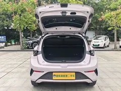 2025 BYD Dolphin Smart Driving 420km Freedom EV — фото 13