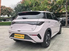2025 BYD Dolphin Smart Driving 420km Freedom EV — фото 15