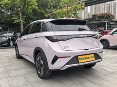 2025 BYD Dolphin Smart Driving 420km Freedom EV — фото 17