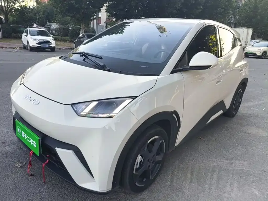 2024 BYD Seagull EV Glory 405km Flying