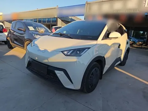2025 BYD Seagull 305km Vitality
