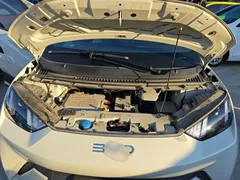 2025 BYD Seagull 305km Vitality, белый — фото 20
