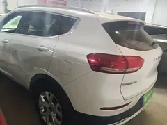 2021 Haval H6 1.5T AT Urban, белый — фото 5