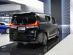 2020 Lexus LM 300h 4, чёрный — фото 10