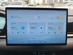 2023 BYD Han PHEV Champion 121KM Premium — фото 19