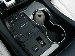 2020 Lexus LM 300h 4, чёрный — фото 20