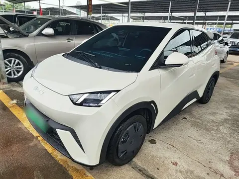 2025 BYD Seagull 305km Vitality
